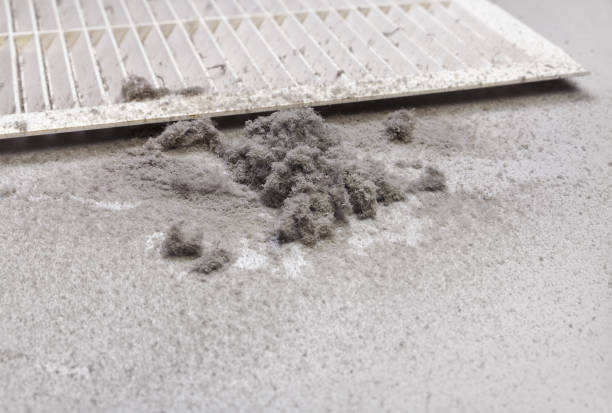 Best Affordable Duct Cleaning Services  in Cameron, TX