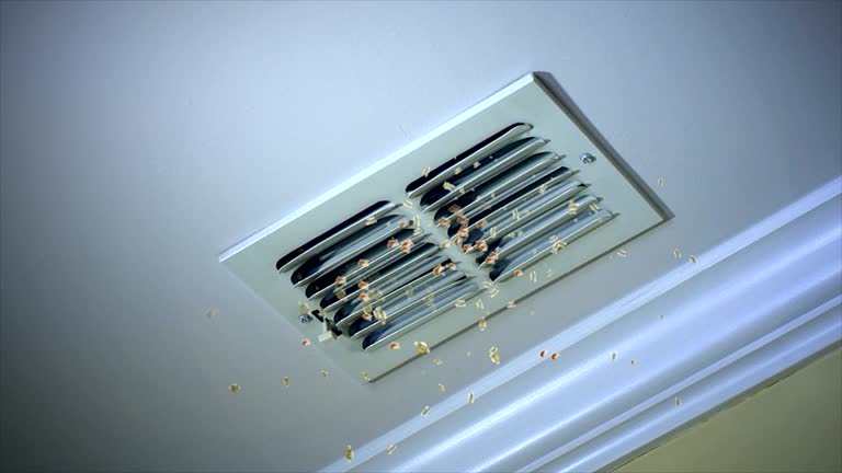 Best Residential Air Duct Cleaning  in Cameron, TX