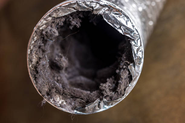 Best Home Air Vent Cleaning  in Cameron, TX